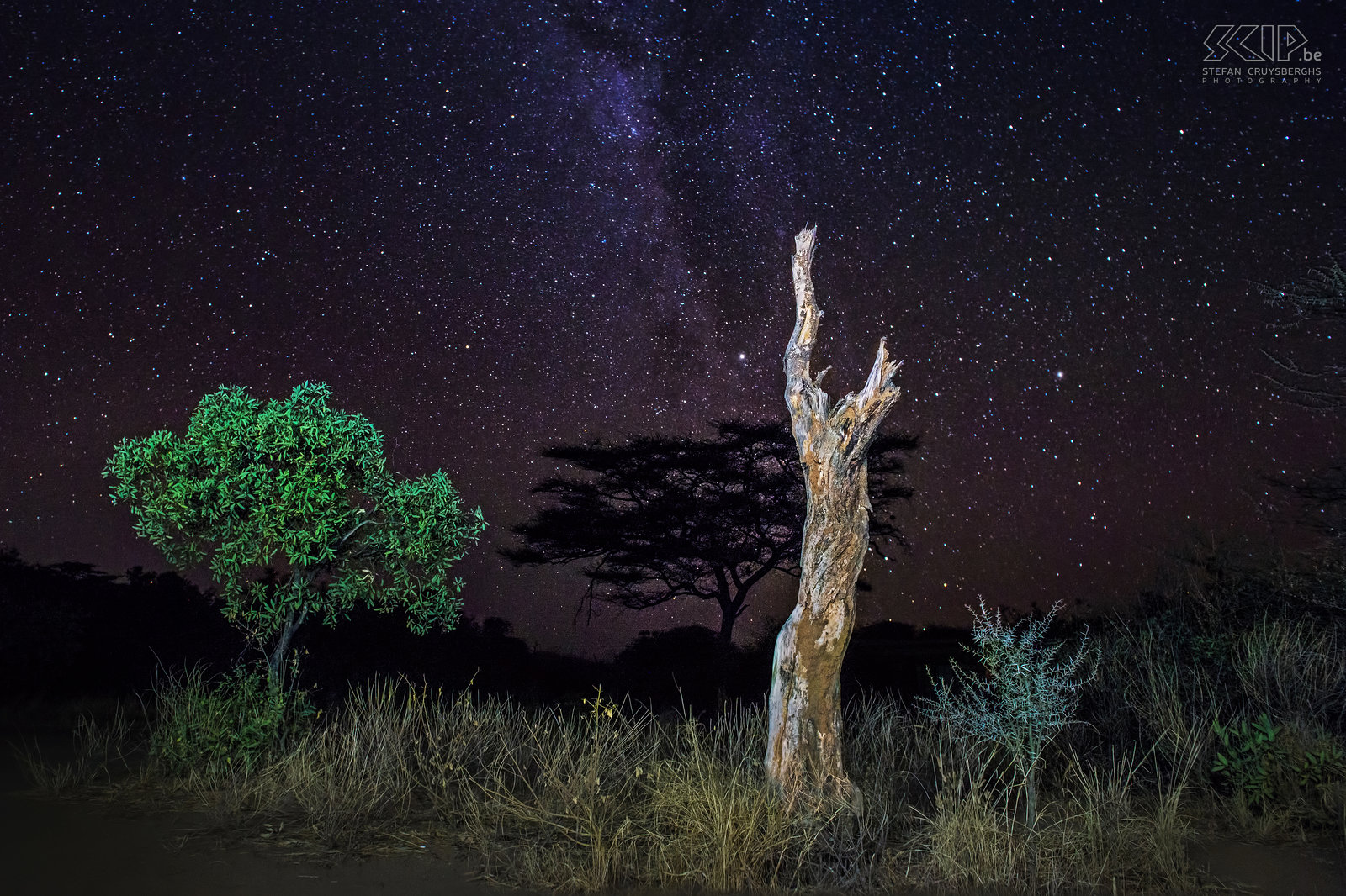 Samburu - Sterrenhemel en melkweg ‘s Nachts is de Afrikaanse hemel verbazingwekkend. Dus probeerde ik een aantal foto's van de prachtige sterrenhemel en de melkweg te maken. Ik maakte deze foto net buiten onze kampplaats in Samburu NP en ik gebruikte mijn zaklamp om de bomen op de voorgrond te verlichten. Stefan Cruysberghs